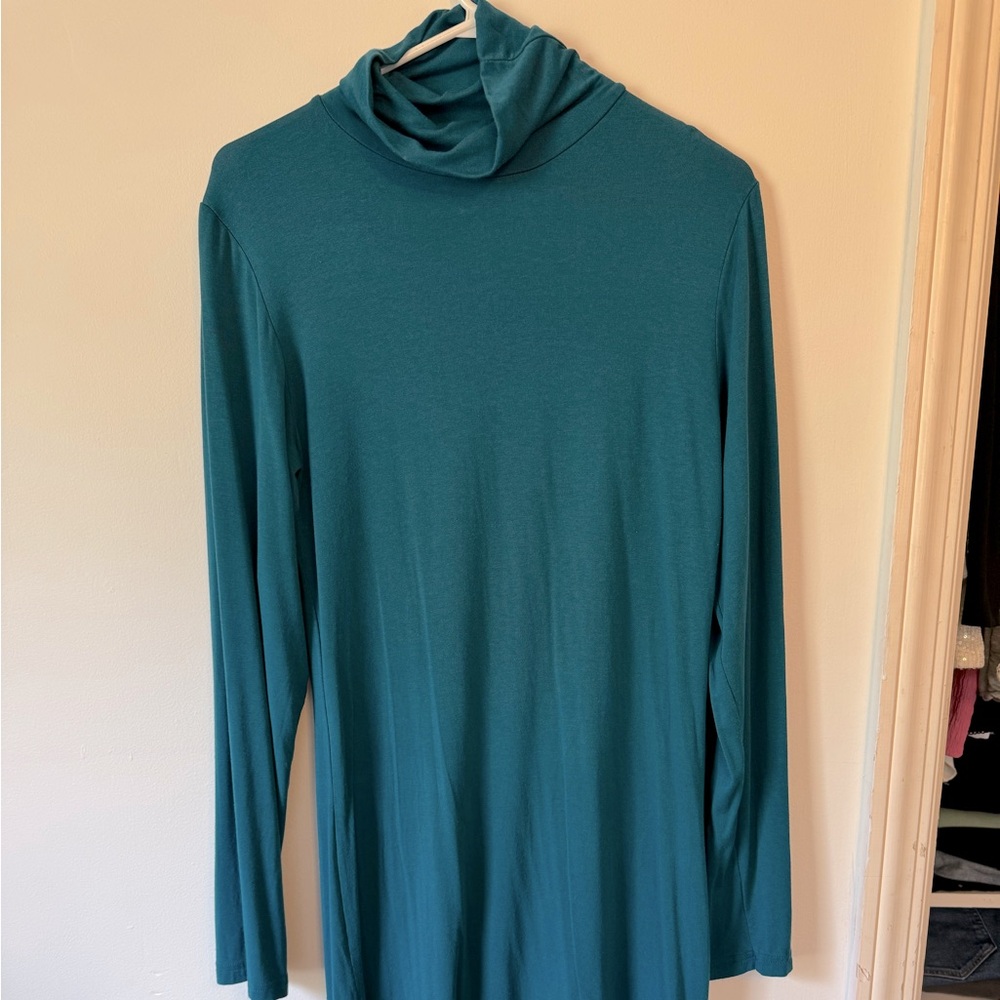 Turtle neck dress